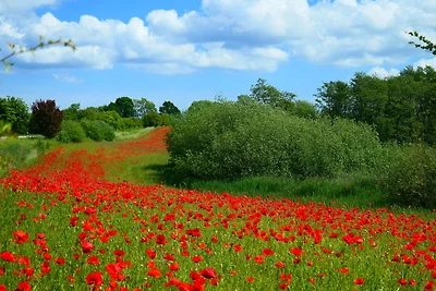 Ferienwohnung Hafenblick Ferienhof
