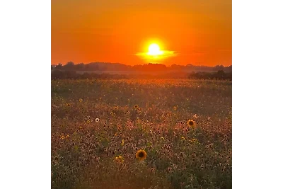 Ruhige FeWo im Nussbaumhof -