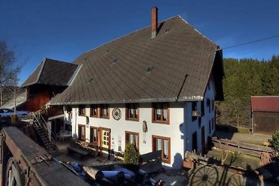 Schwarzwaldhaus Krebs - Villa