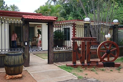 Finca Neo Appartement 1