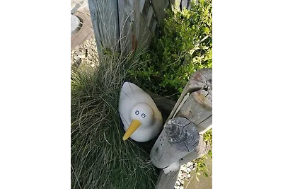 Vakantieappartement Gezinsvakantie Dorum