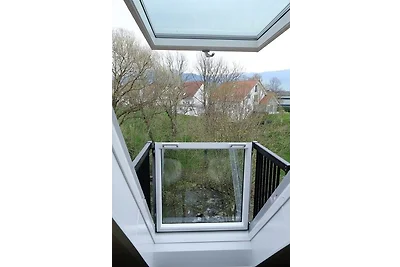 Ferieninsel an der Dreisam