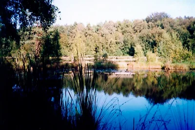 Ferienhaus in Waren Müritz