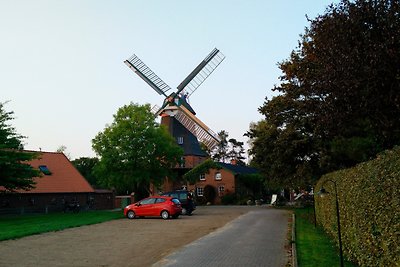 Vakantieappartement Gezinsvakantie Stadland