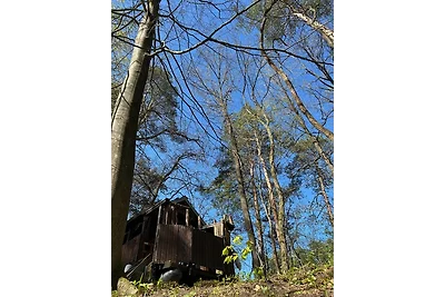 Waldfloss Biberspur