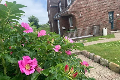 Sylter Rose 3a - strandnahe