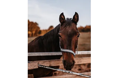 Schwabenhof Ferienwohnung II