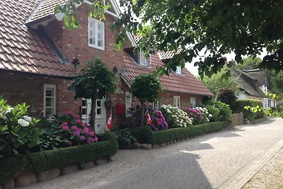 Casa vacanze Vacanza di relax Oevenum