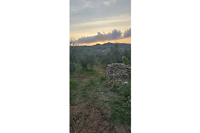 Casa vacanze Vacanza di relax Pisa