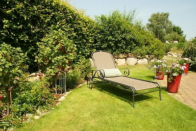 Reethus Sternenkikker inkl.