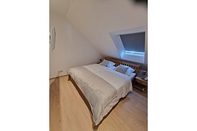 Top Ferienwohnung mit zwei grossen