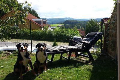 Ferienhaus Tine am Schlossberg in