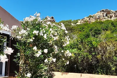 Ferienhaus Casa Mirto - Villaggio