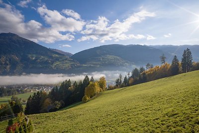 Vakantieappartement Gezinsvakantie Kaltenbach