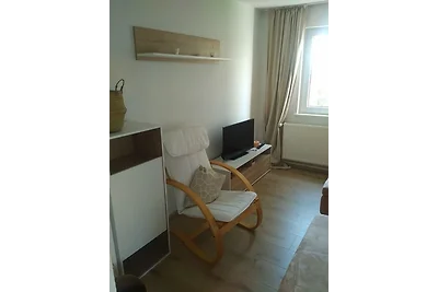 Blick über Hohegeiss