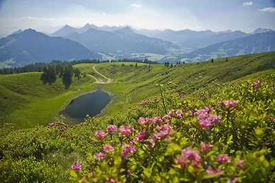 Ferienwohnung Wannenblick