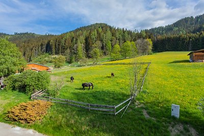 Huberhof 8 by Alpenidyll Apartments