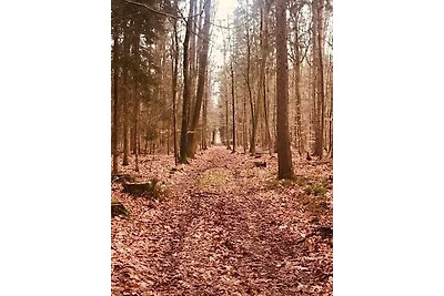 Casa vacanze Vacanza di relax Sögel