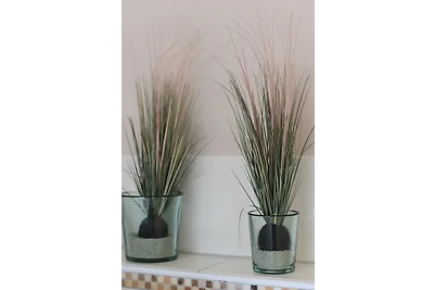 Bungalow Gartenzauber