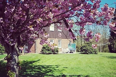 Appartement 2 Einzelzimmer Altes