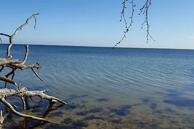 Ferienwohnung "Am Stadtrand"
