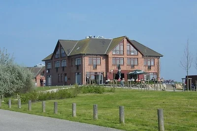 Muschelsucher - Sünnenkieker WE10