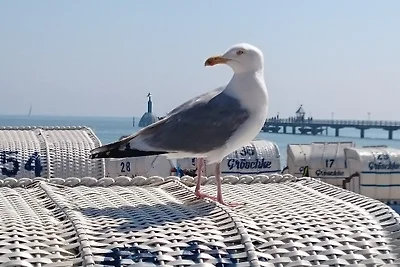 Ferienhof Kruse Wohnung 8