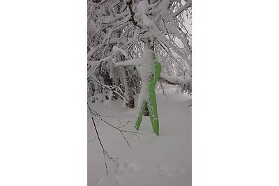 "Am Flössgraben"