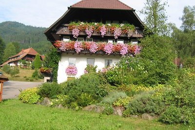 Vakantieappartement Gezinsvakantie Gutach