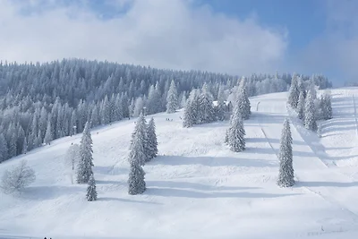 Appartamento Vacanza con famiglia Feldberg