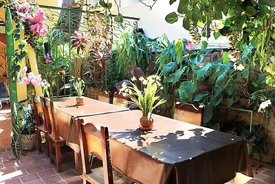 Hostal Mario y Damaris Appartement