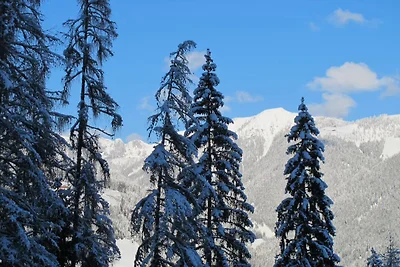 Almhütte in sonniger Alleinlage