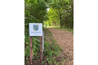 Vakantiehuis Ontspannende vakantie Riepsdorf