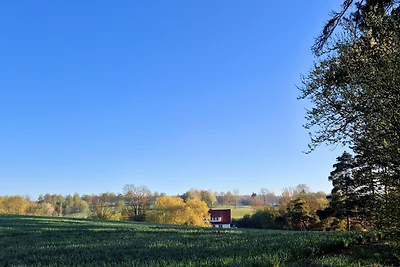 Ferienapartment Haus am Grün 2