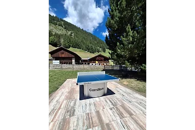 Vakantiehuis Ontspannende vakantie Kals am Großglockner
