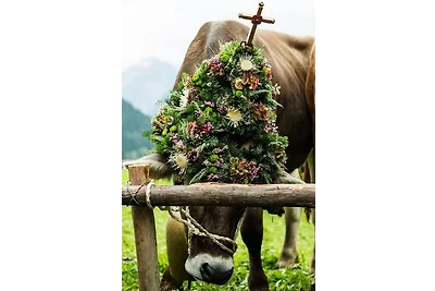 Wildgrün Mini Lodge 10