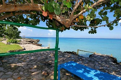 Vakantieappartement Gezinsvakantie Playa Larga
