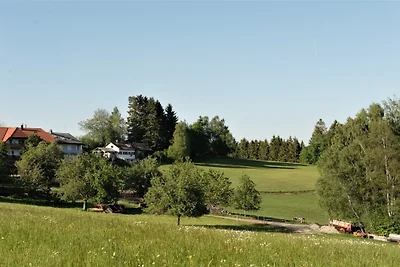 Casa vacanze Vacanza di relax Dachsberg
