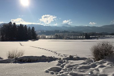 Ferienwohnung Rottachseeblick