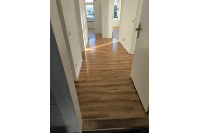 Löwe (1-6 Personen)