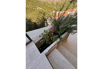 Appartment Neda 2