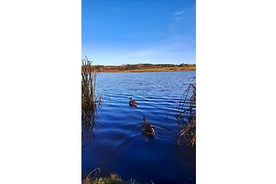 Vakantiehuis Ontspannende vakantie Udler