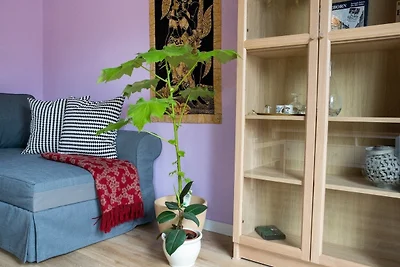 apartman za odmor Obiteljski odmor Detmold