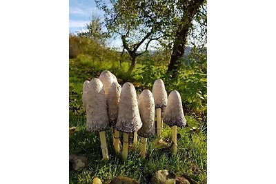 Appartamento Vacanza con famiglia Kirchberg im Wald
