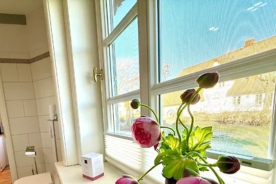 Deichhof Whg. Möwennest