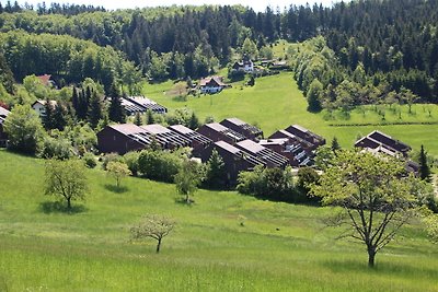 Appartamento Vacanza con famiglia Sasbachwalden