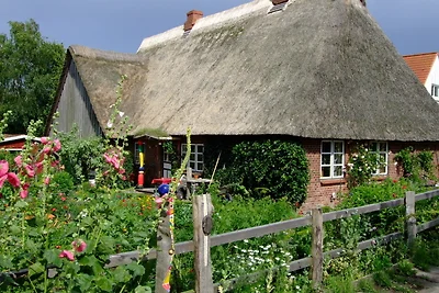 Ferienwohnung im Skulpturengarten