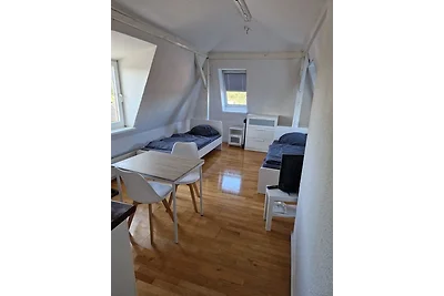 Wombat (1-2 Personen)