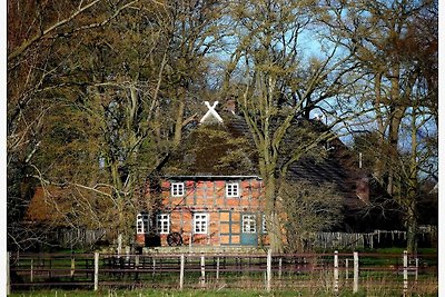 Vakantiehuis Ontspannende vakantie Eydelstedt