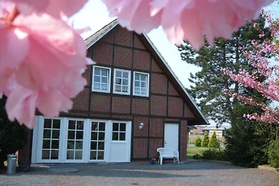 Appartement Jork Altes Land bei